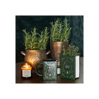 Herbal Magic Bronze Effect Terracotta Cauldron Plant Pot