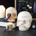 Skull Tealight Holder with Snake