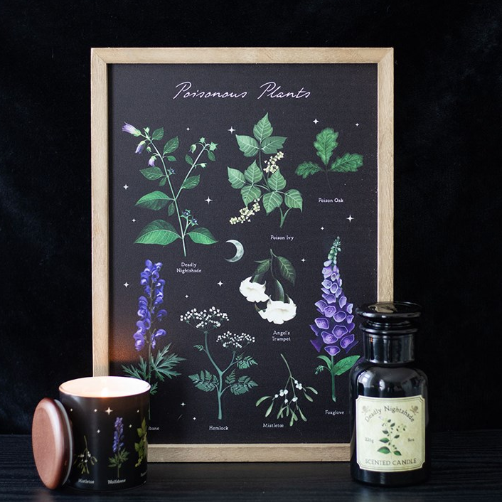 Poisonous Plants Framed Wall Art Print