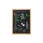 Poisonous Plants Framed Wall Art Print