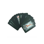 The Witch’s Familiar Runic Oracle Cards