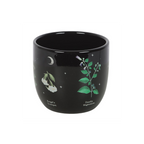 Poisonous Plants Plant Pot