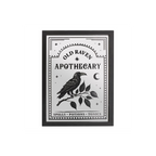 Old Raven Apothecary Mirrored Wall Art